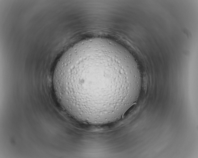 X0000114030613200910161821