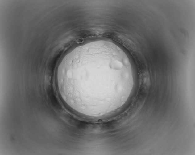 X0000114030615200910161821