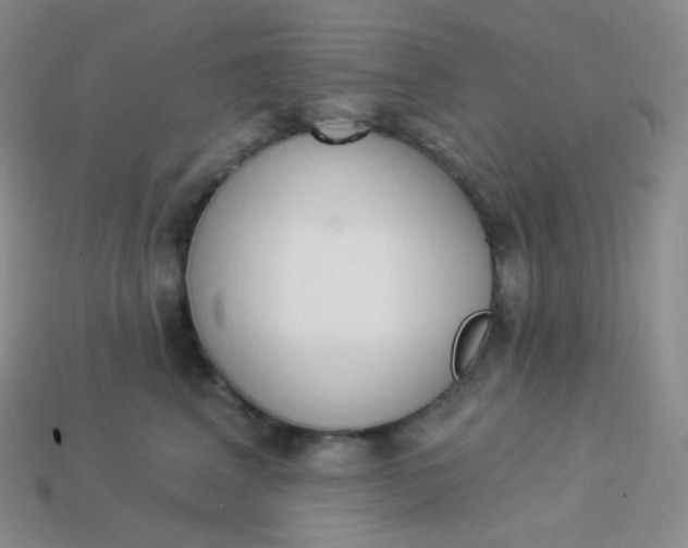 X0000114030617200910161821