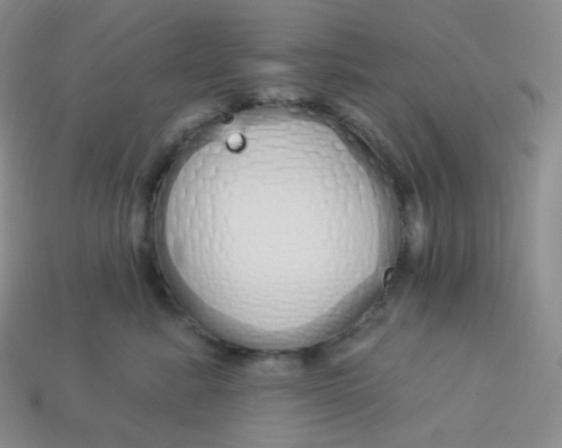 X0000114030619200910161821