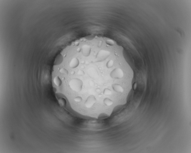 X0000114030622200910161821