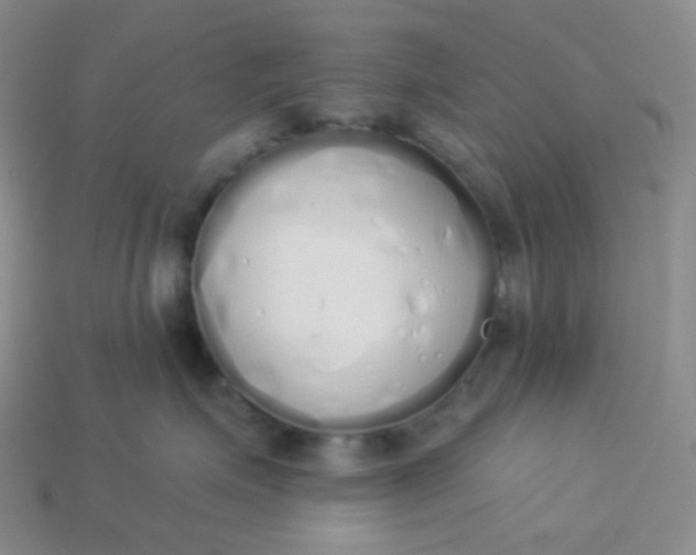 X0000114030623200910161821