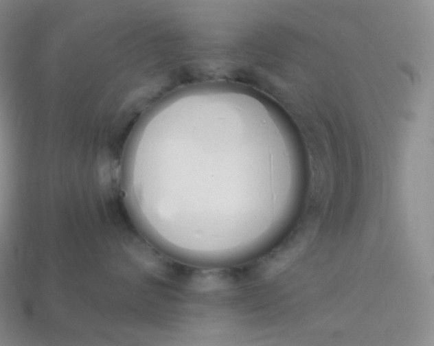 X0000114030624200910161821