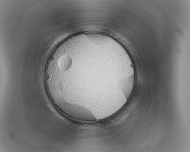 X0000114030625200910161820