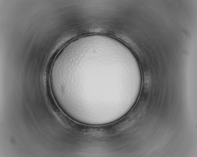 X0000114030626200910161820