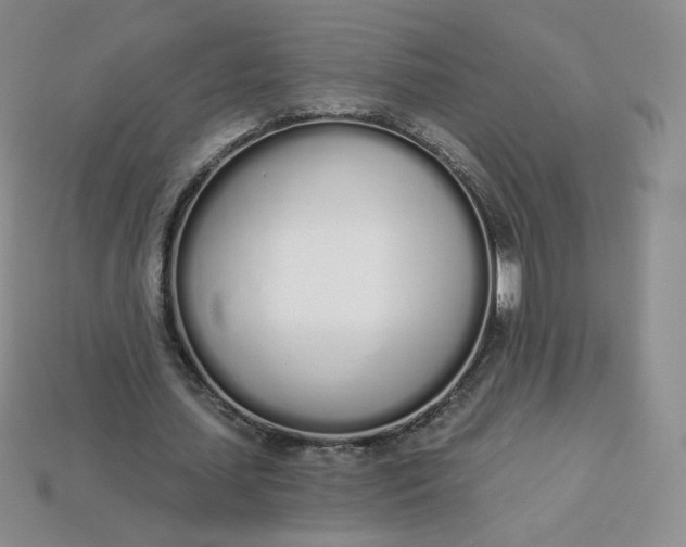 X0000114030627200910161820