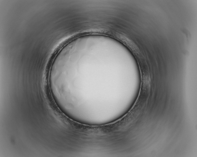 X0000114030628200910161820