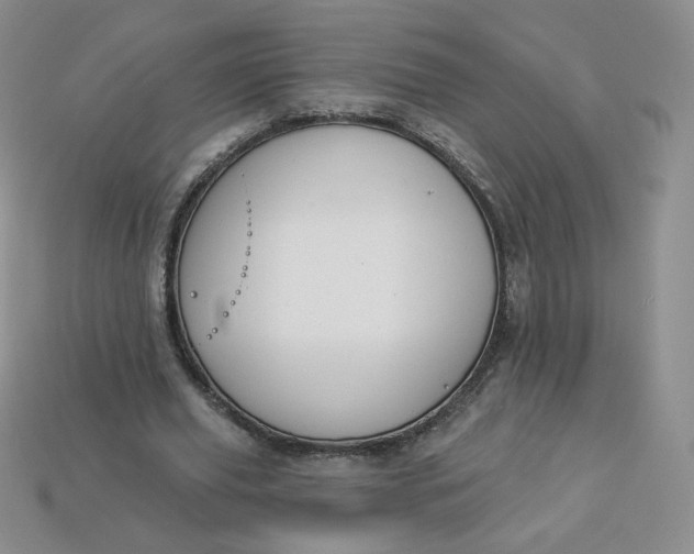 X0000114030629200910161820