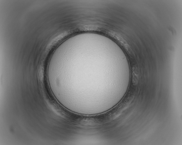 X0000114030631200910161820