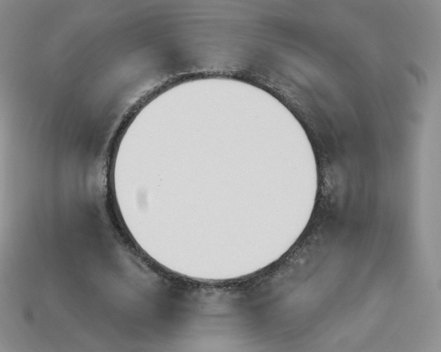 X0000114030632200910161820