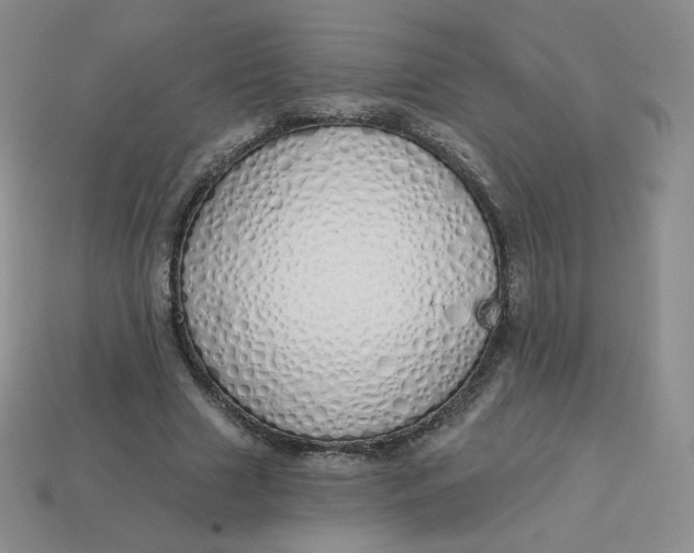 X0000114030633200910161820