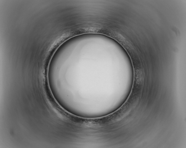 X0000114030634200910161820