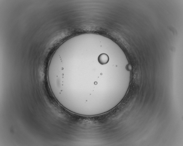 X0000114030635200910161820