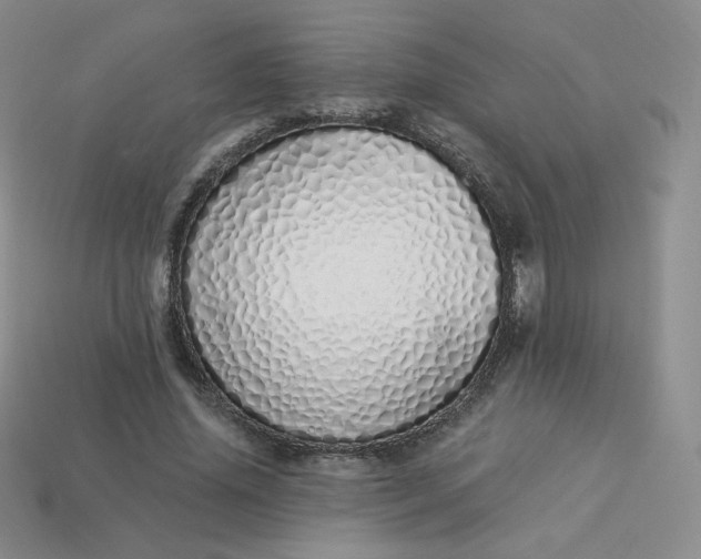 X0000114030636200910161820