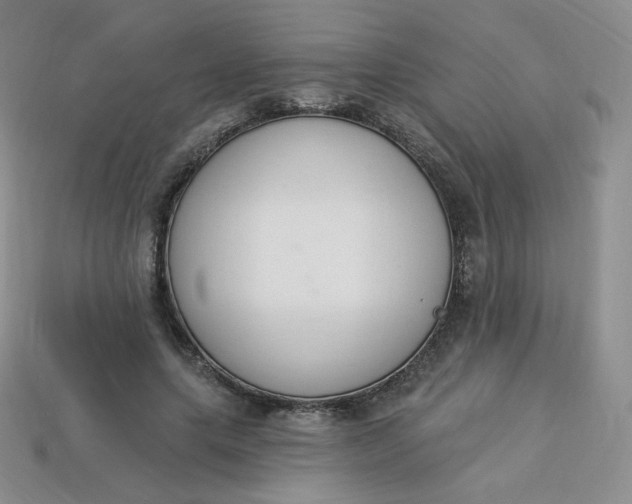 X0000114030639200910161820