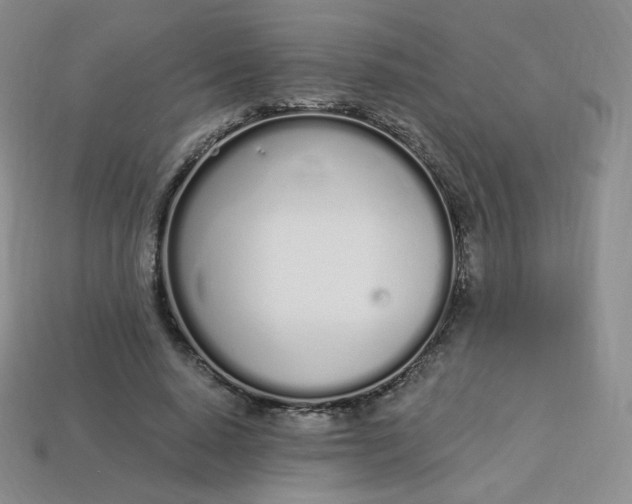 X0000114030640200910161821