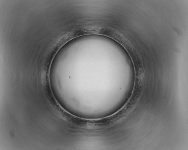 X0000114030641200910161821