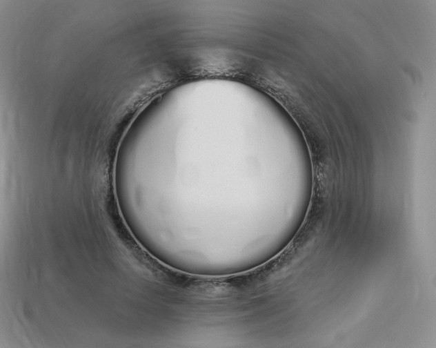 X0000114030642200910161821