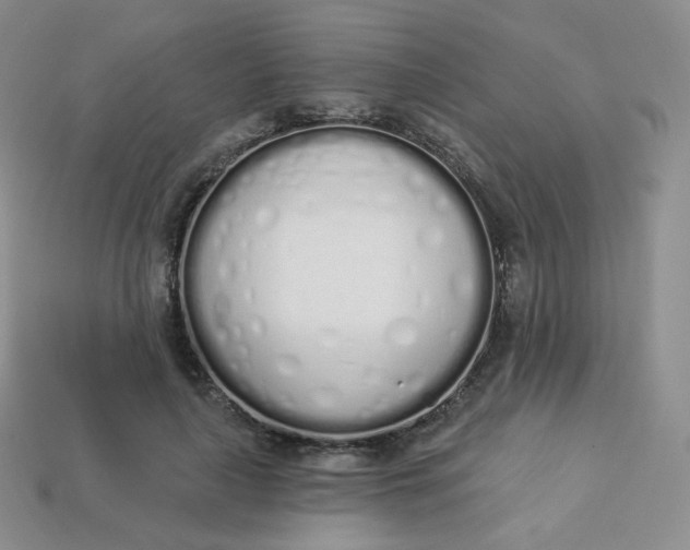 X0000114030643200910161821