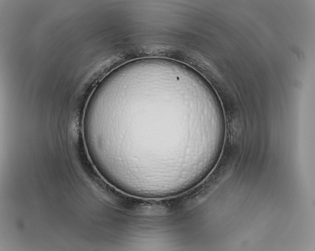 X0000114030644200910161821