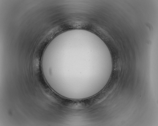 X0000114030646200910161821