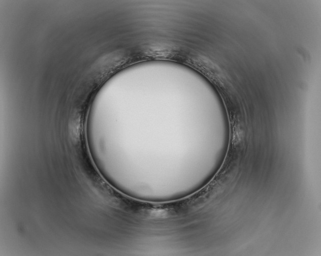 X0000114030647200910161821