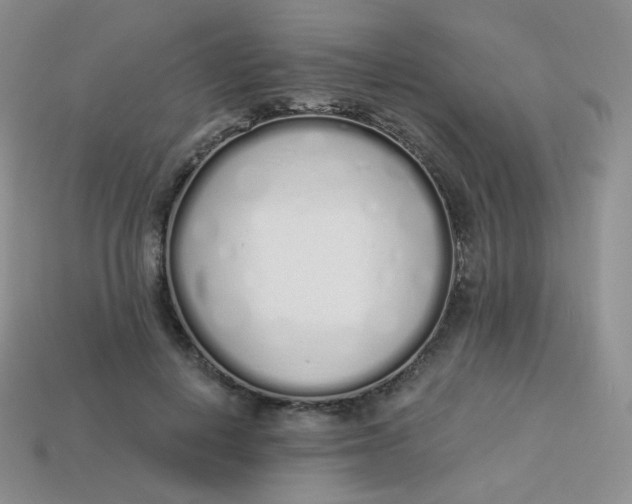 X0000114030648200910161821