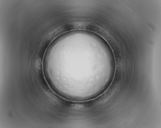 X0000114030649200910161821