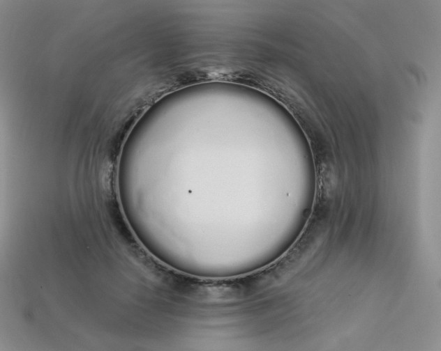 X0000114030650200910161821