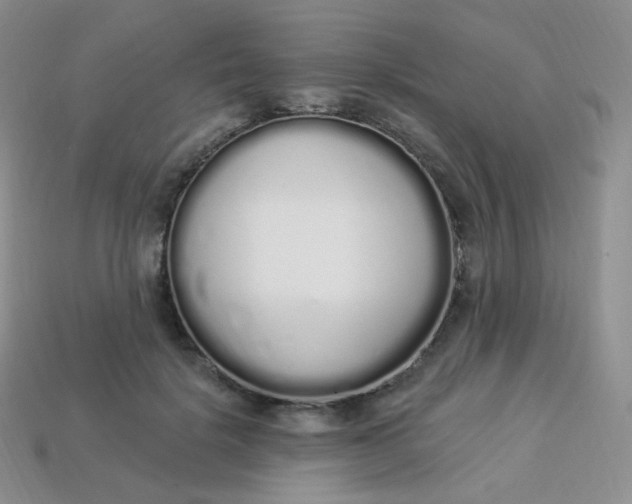 X0000114030652200910161821