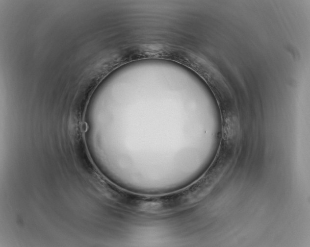 X0000114030653200910161821