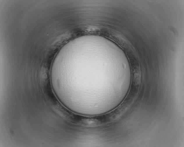 X0000114030654200910161821