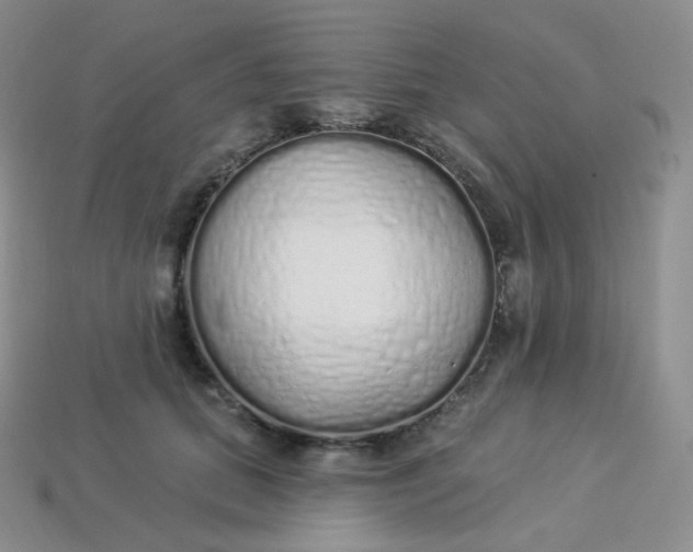 X0000114030655200910161821