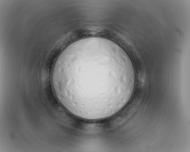 X0000114030657200910161821