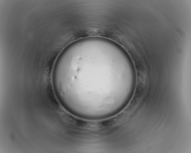 X0000114030659200910161821