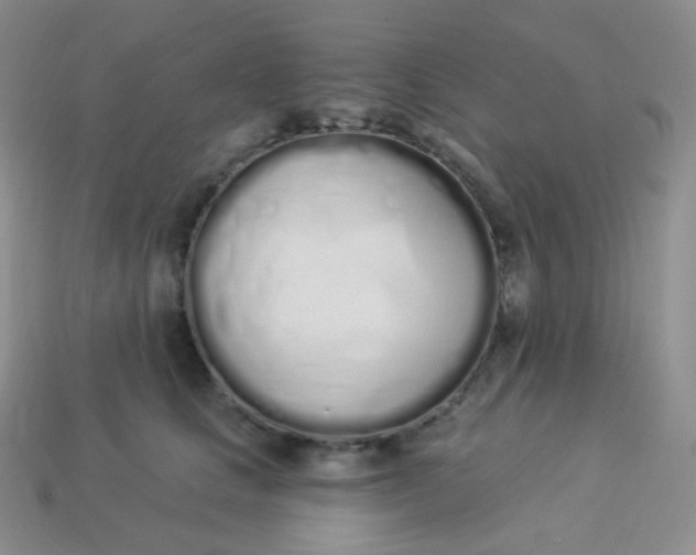 X0000114030661200910161821