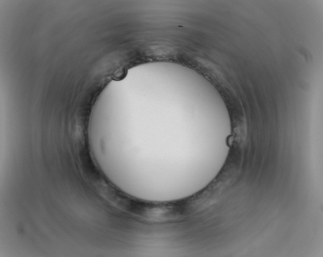 X0000114030662200910161821