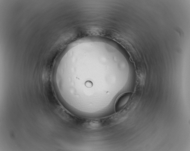 X0000114030665200910161821