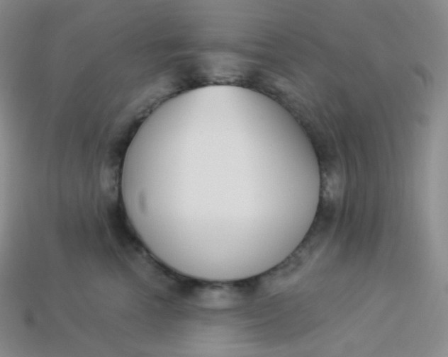 X0000114030666200910161821