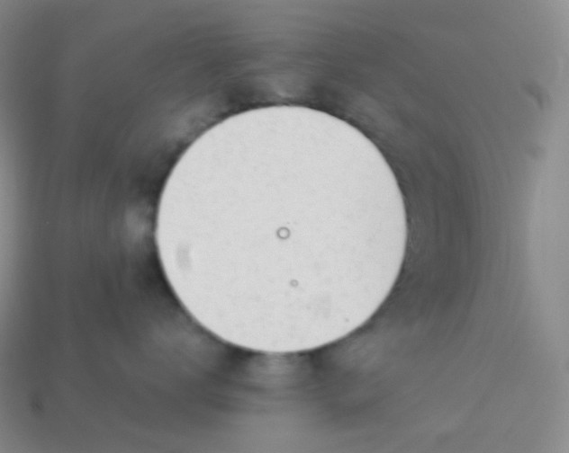 X0000114030672200910161821