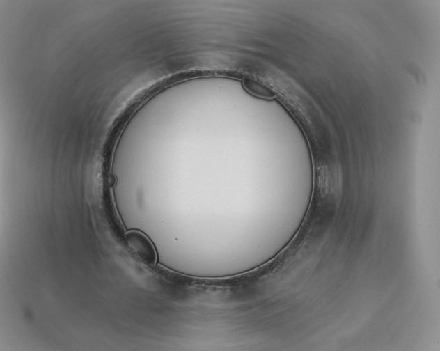 X0000114030676200910161820