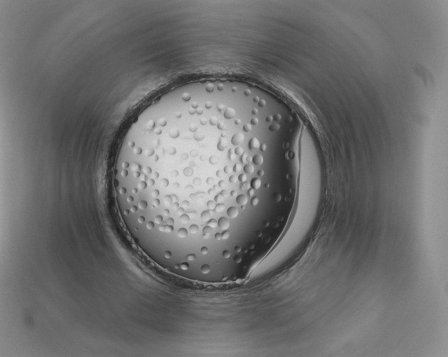 X0000114030677200910161820