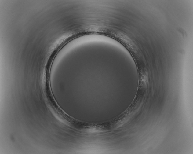 X0000114030678200910161820