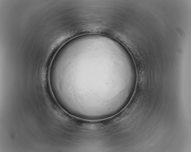 X0000114030679200910161820