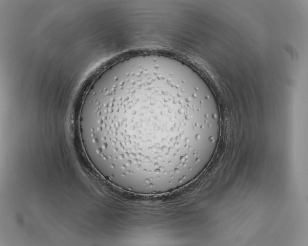 X0000114030680200910161820