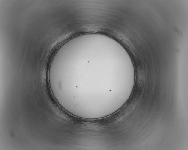 X0000114030681200910161820