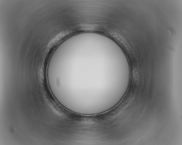 X0000114030682200910161820