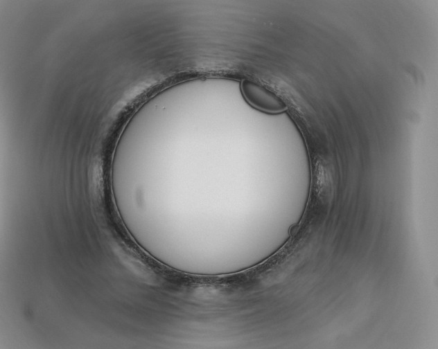 X0000114030684200910161820