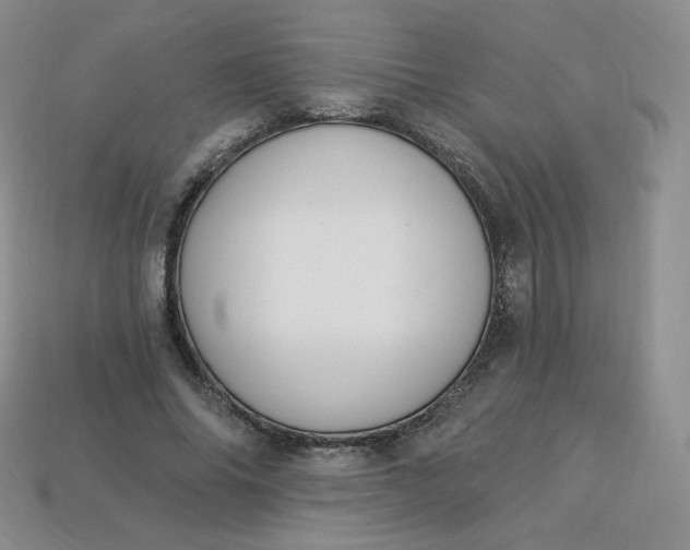 X0000114030686200910161820