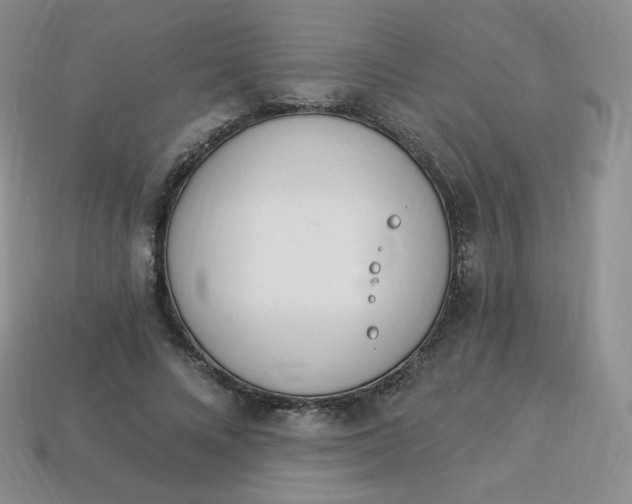 X0000114030688200910161820